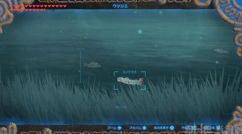 塞爾達傳說